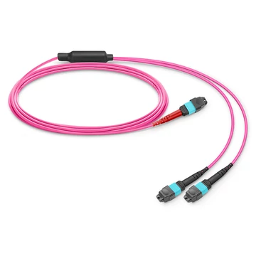 1m (3ft) MTP® átalakítókábel, MTP®-24 UPC (Female) to 2 x MTP®-12 UPC (Female), 24 Fibers, Multimode (OM4), Plenum (OFNP), 0.35dB Max, Type A, Magenta