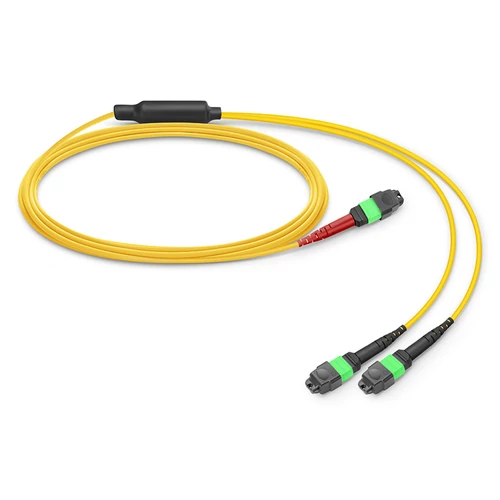 1m (3ft) MTP® átalakítókábel, MTP®-24 APC (Female) to 2 x MTP®-12 APC (Female), 24 Fibers, Single Mode (OS2), Plenum (OFNP), 0.35dB Max, Type A, sárga