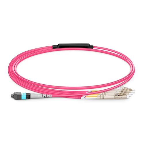 1m (3ft) MTP® Harness osztókábel, MTP®-8 UPC (Female) to 4 LC UPC Duplex, 8 Fibers, Multimode (OM4), Plenum (OFNP), 0.35dB Max, Type B, Magenta