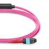 1m (3ft) MTP® átalakítókábel, MTP®-24 UPC (Female) to 2 x MTP®-12 UPC (Female), 24 Fibers, Multimode (OM4), Plenum (OFNP), 0.35dB Max, Type A, Magenta