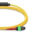 1m (3ft) MTP® átalakítókábel, MTP®-24 APC (Female) to 2 x MTP®-12 APC (Female), 24 Fibers, Single Mode (OS2), Plenum (OFNP), 0.35dB Max, Type A, sárga